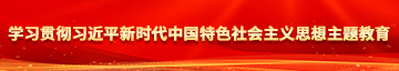 夜夜考大阴学习贯彻习近平新时代中国特色社会主义思想主题教育